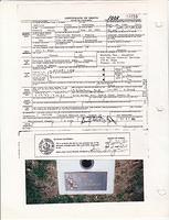 Adeline Irene Koroch Roehrman - Certificate of Death - 1984